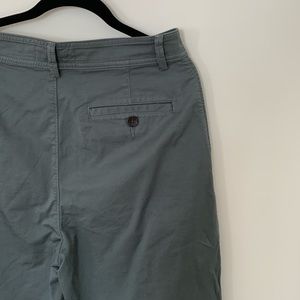 Everlane Pleated Chino